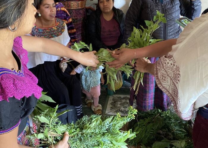 Mariu passing medicinal herbs to a circle of women